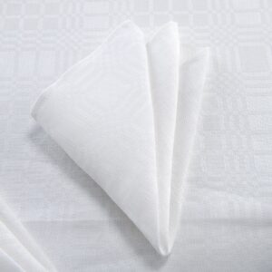 Optical white linen cotton napkin